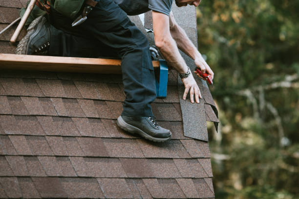 Roof Gutter Cleaning in Gerald, MO